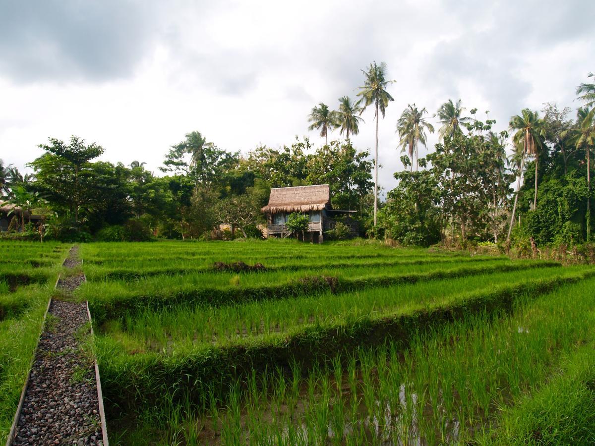 Bali Beach Eco Villas Pondok Matekap Selemadeg  Екстериор снимка