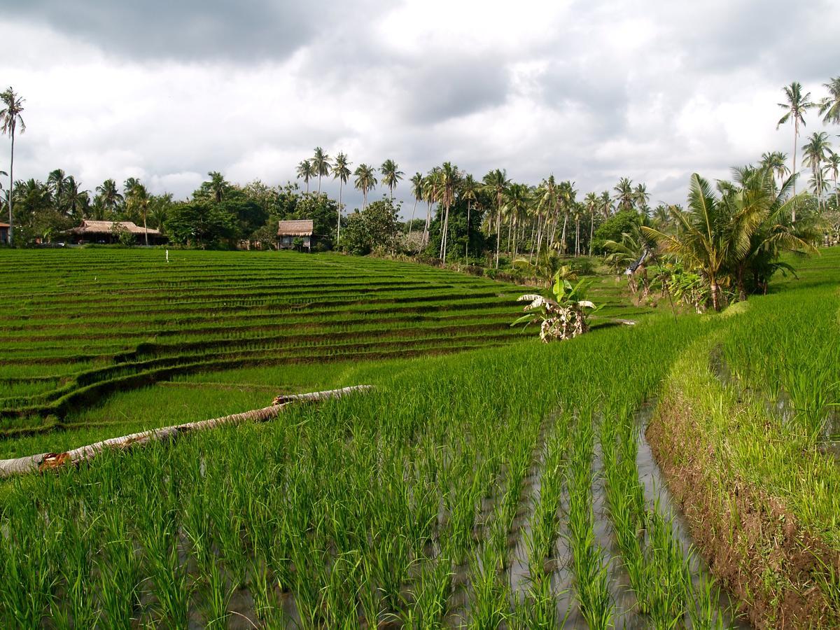 Bali Beach Eco Villas Pondok Matekap Selemadeg  Екстериор снимка