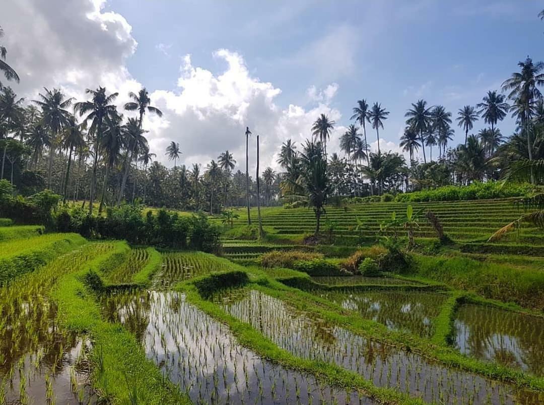 Bali Beach Eco Villas Pondok Matekap Selemadeg  Екстериор снимка